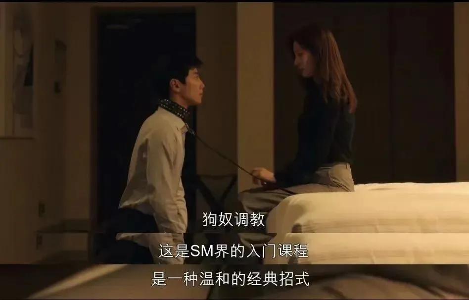西檬之家字母圈的K9犬系是什么? 一