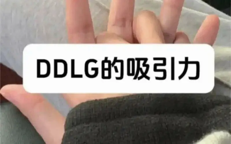 西檬之家BDSM是什么意思? 一
