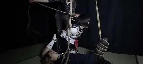 西檬之家ddlg是什么?你的字母圈属性是什么 一