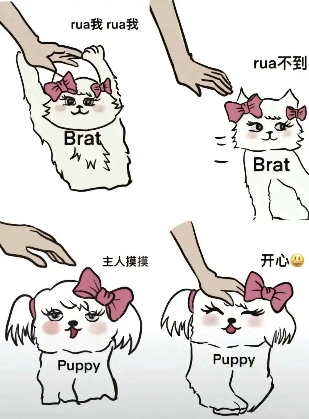 西檬之家字母圈dom是什么意思? 一