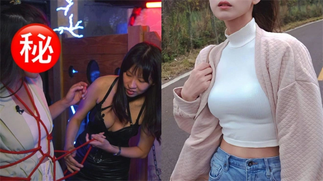 西檬之家女王是什么?你的字母圈属性是什么 一