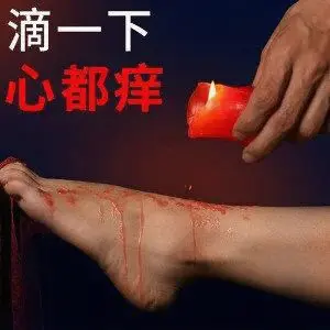 西檬之家字母圈K9犬系详解 一
