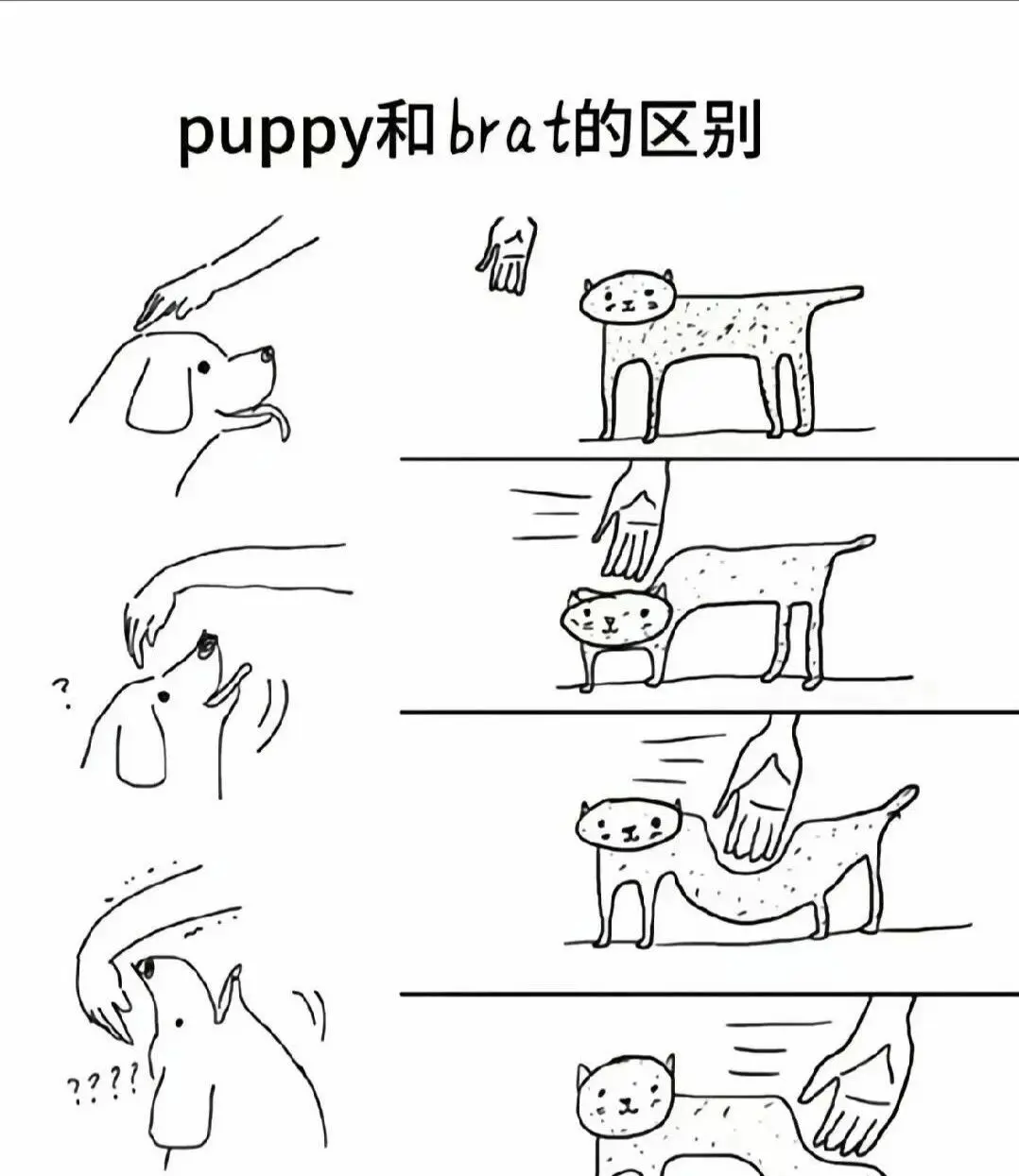 西檬之家K8是什么?你的字母圈属性是什么 一
