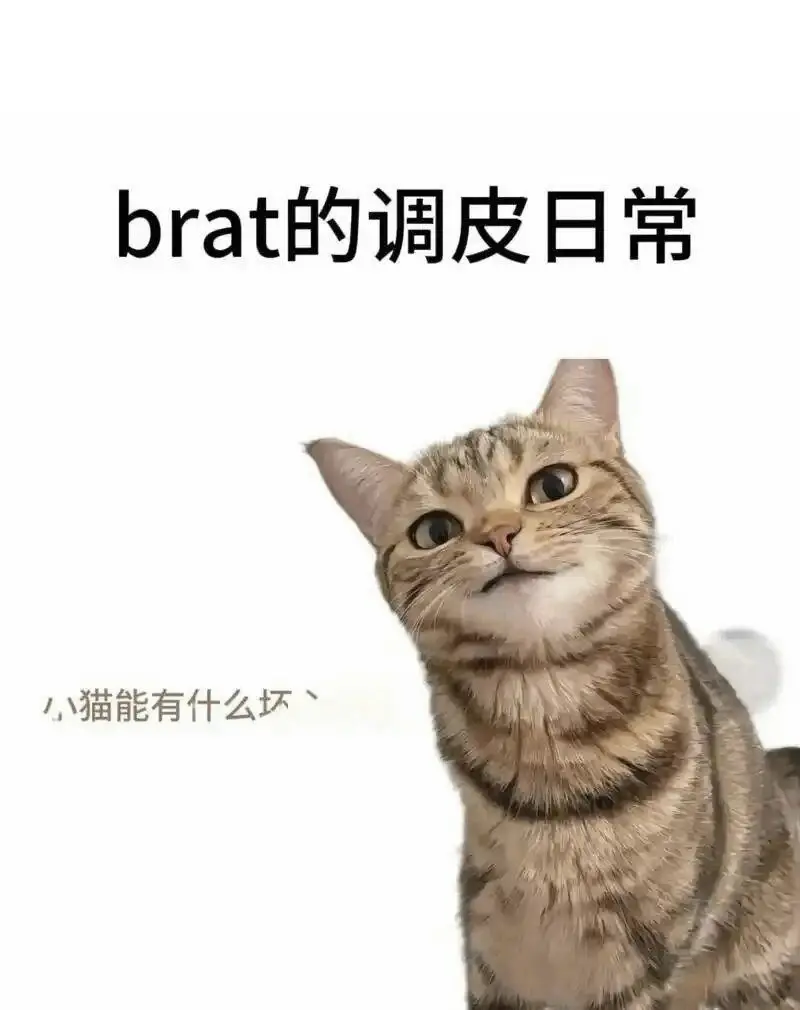 西檬之家s倾向是什么?字母圈新人必知 一