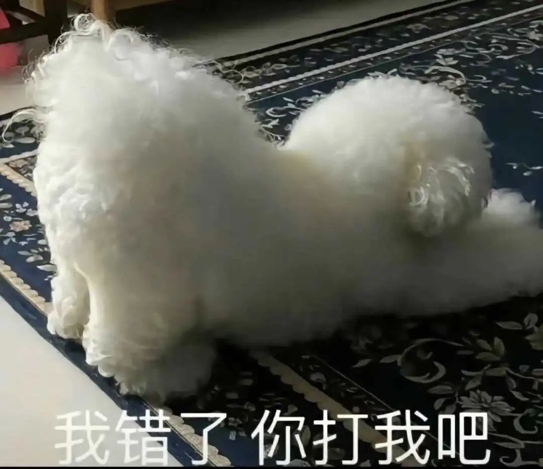 西檬之家brat属性是什么?字母圈新人入圈 一