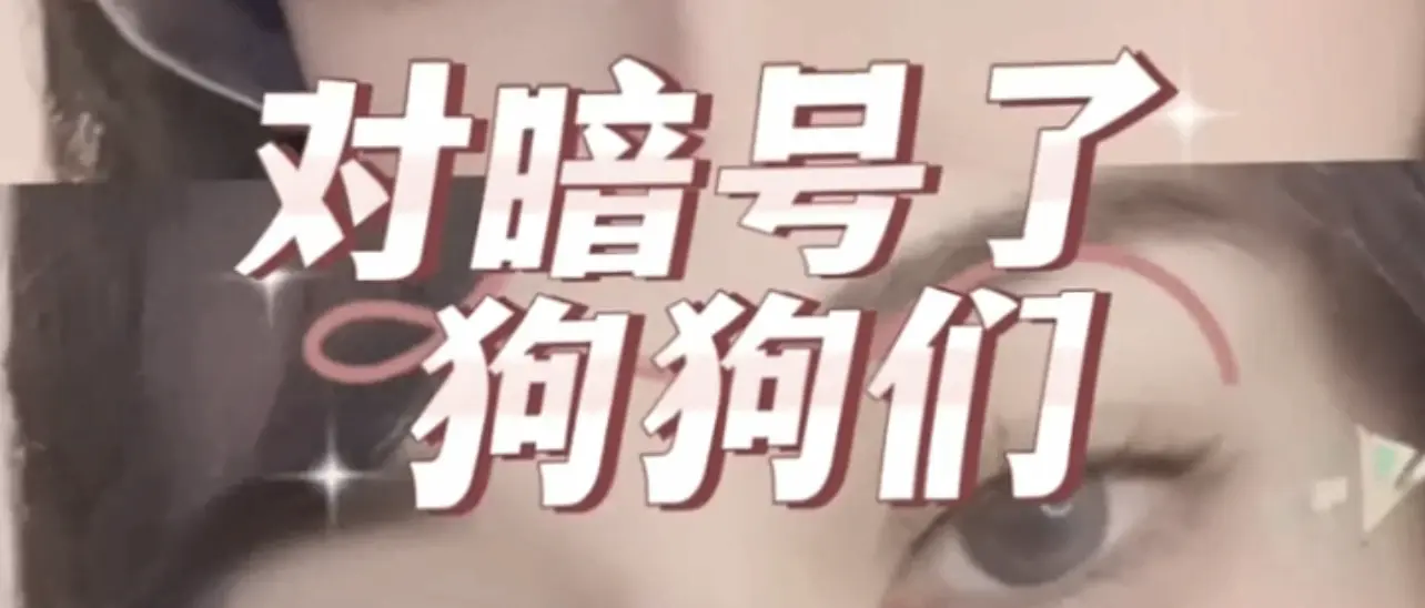 西檬之家ddlg是什么?你的字母圈属性是什么? 一