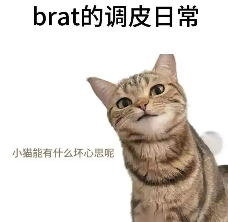 西檬之家字母圈入圈新手必看 一